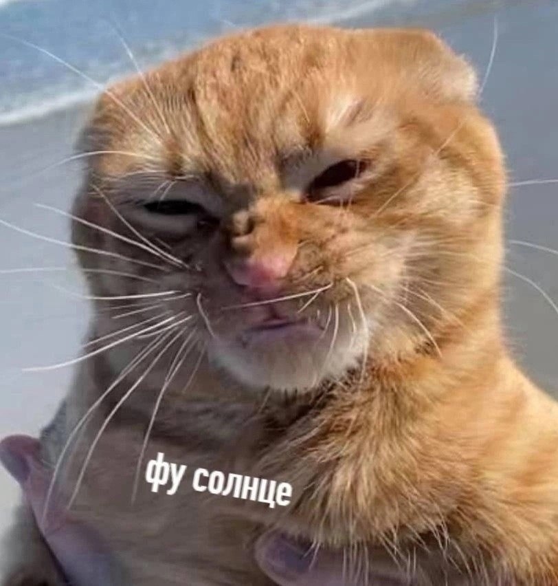 �o� coc������ ���� ���o�: - 2