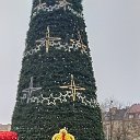 ���� ������, ����, 35 ��� - ��������� 3 ������ 2025 � ������ ���� ����������