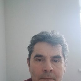 , 56, 