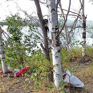 Анатолий Толян, 42 года, Москва Анатолий Толян, 42 года, Москва