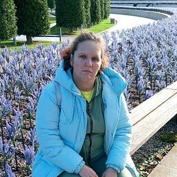 �����, ���������, 40 ���