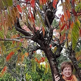 �������, ����, 61 ���