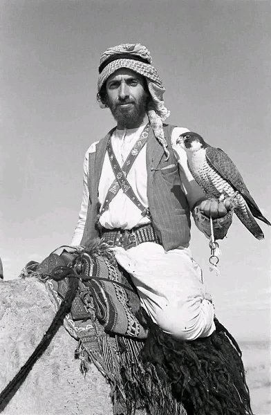 :)     - (1918 - 2004 -      ...