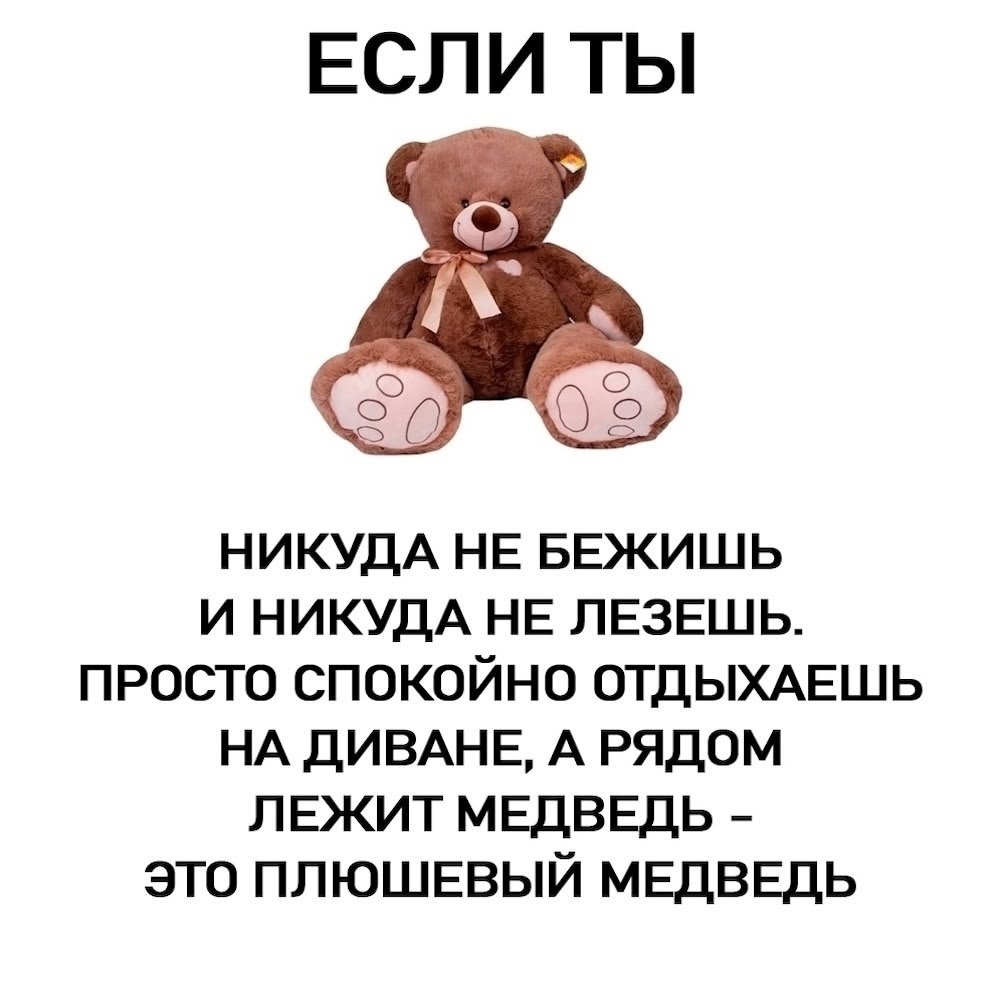 Про медведей - 7