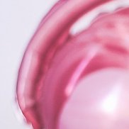 ������, 32 ����, ������ ��������