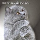 ���� ����������, ������, 49 ��� - ��������� 21 ������� 2025 � ������ ���� ����������