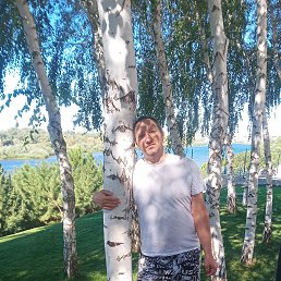 �������, 38 ���, ��������