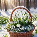 ���� Irina, ������� - ��������� 1 ����� 2026 � ������ ������ ��������