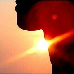 ������, ������, 49 ���