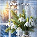 ���� �������@, �������� - ��������� 17 ������� 2026 � ������ ������ ��������