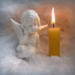 ���������, ������, 40 ���