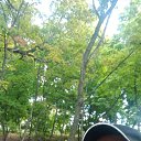 ���� ��������� �������, ������, 54 ���� - ��������� 3 ��� 2024 � ������ ���� ����������