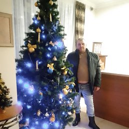 ���� ������, �����, 53 ���� - ��������� 9 ������ 2026