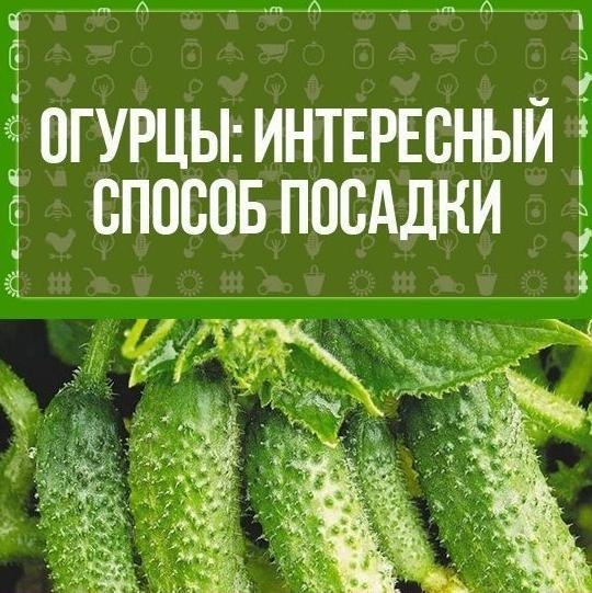 �y�����y���x:�����������������������������.������������������������x��x���x,��y�������������������������.���������������,��������������������,����������������������������������������������������������yx�y�����x�������.���y���������������y������y����������������.����������������:1y������������.�