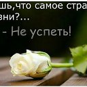 ���� ������, ������, 56 ��� - ��������� 12 ����� 2026 � ������ �������