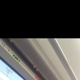 ���������, 37 ���, �����