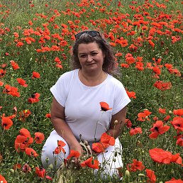 ���� ��������, �����, 48 ��� - ��������� 4 ������� 2024