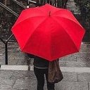 ���� ����, �����������, 45 ��� - ��������� 31 ����� 2024 � ������ ���� ����������