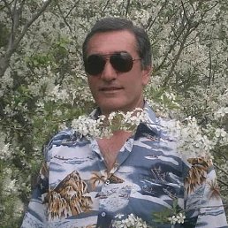 , 53, 