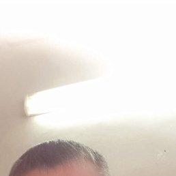 , 41, 