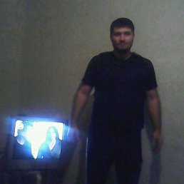 , 37, 