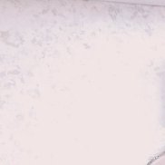 ���������, 51 ���, ���������