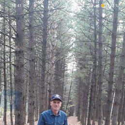 ���������, ������, 45 ���