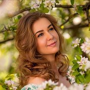 �����, 41 ���, ������