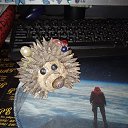 ���� ����, ��������� - ��������� 6 ������ 2026 � ������ ���� ����������