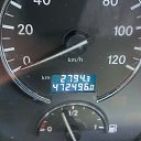 ���� ������, ������, 51 ��� - ��������� 18 ������� 2023 � ������ ���� ����������