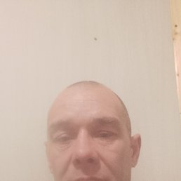 , 44, 