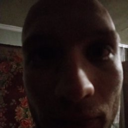 , 28, 