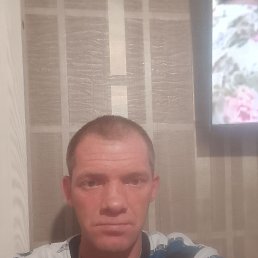 ������ �������, 42 ����, ���������