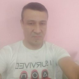 , 43, 
