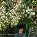 ���� �������, �����������, 65 ��� - ��������� 24 ������� 2025 � ������ ���� ����������