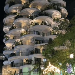 � �, ������, 41 ���