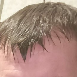 ���� ������, �����������, 42 ���� - ��������� 1 ������ 2026