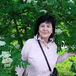 , 58, 