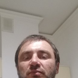 , 41, 