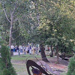 �����, �������