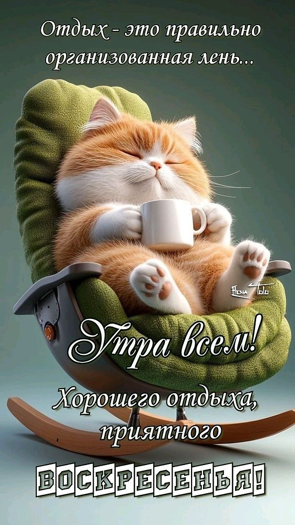 ��� ���� - 19 ������ 2026 � 11:29