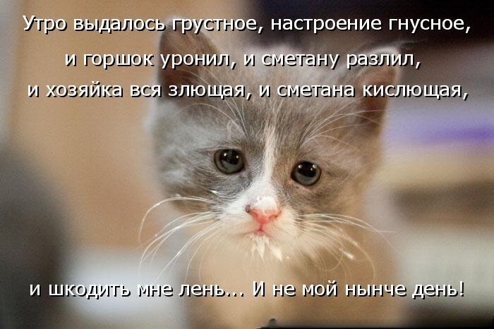  - 21  2025  09:05