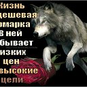 ���� ������, ������, 39 ��� - ��������� 6 ������� 2026 � ������ ���� ����������