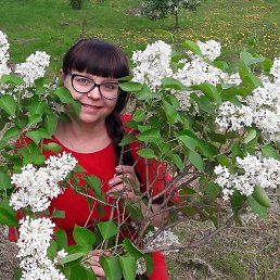 �����, ������, 55 ���