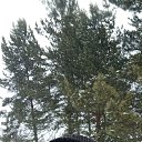 ���� ������, �����������, 60 ��� - ��������� 29 ������� 2024 � ������ ���� ����������