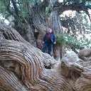 ���� ���, �����, 41 ��� - ��������� 13 ������� 2023 � ������ ���� ����������