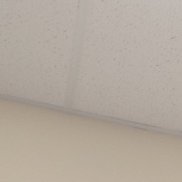 �����, 43 ����, ��������