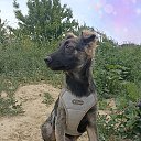 ���� �����, ���������, 40 ��� - ��������� 19 �������� 2024 � ������ ������ ��������