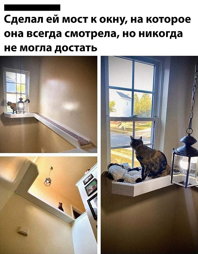 ������� �������, �������