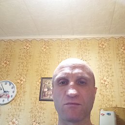 ���� ������, ����, 41 ��� - ��������� 1 ���� 2025